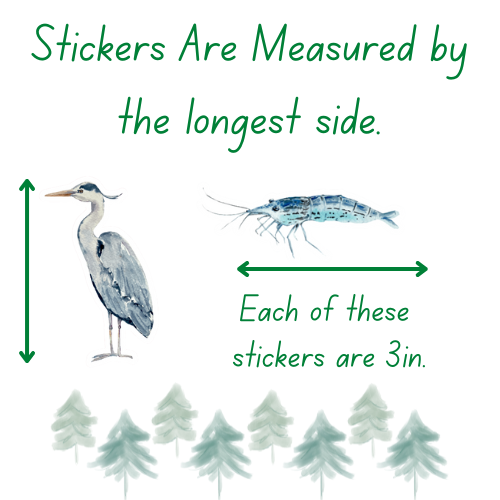 Barn Owl Sticker or Magnet