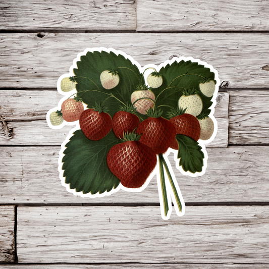 Strawberry Sticker