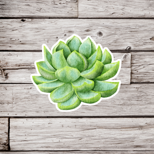 Succulent Sticker