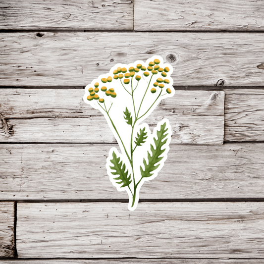 Tansy Flower Sticker or Magnet