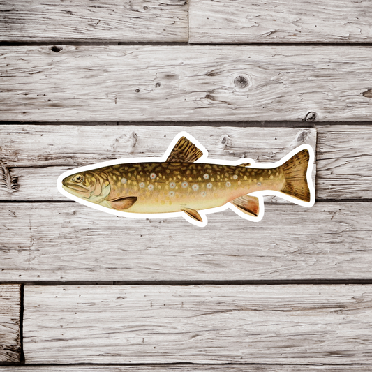 Brook Trout - Adult Female Sticker