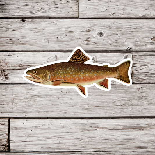 Brook Trout - Adult Male Sticker