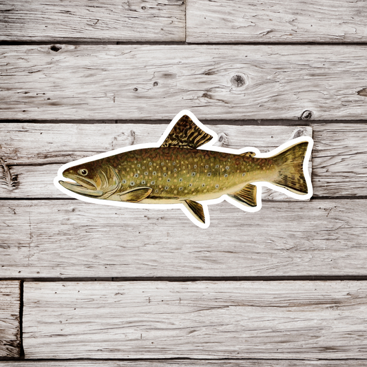 Brook Trout - Adult Male Sticker