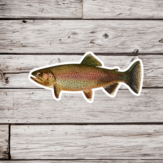 Golden Trout - Adult Male Sticker