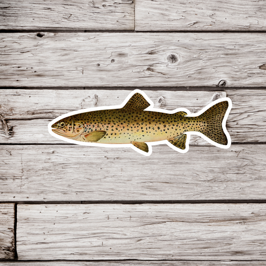 Sunapee Trout - Adult Male Sticker