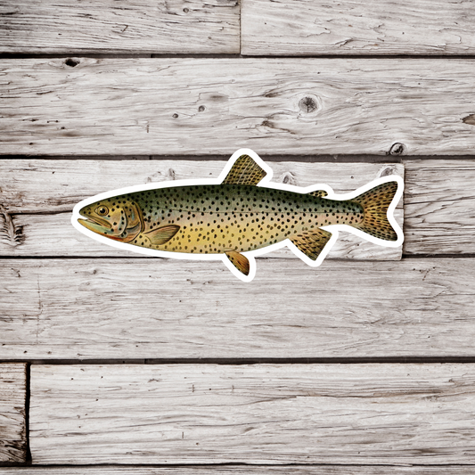 Tahoe Trout - Adult Male Sticker