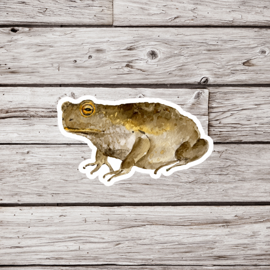 Toad Sticker or Magnet