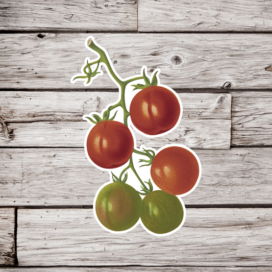 Tomato Sticker