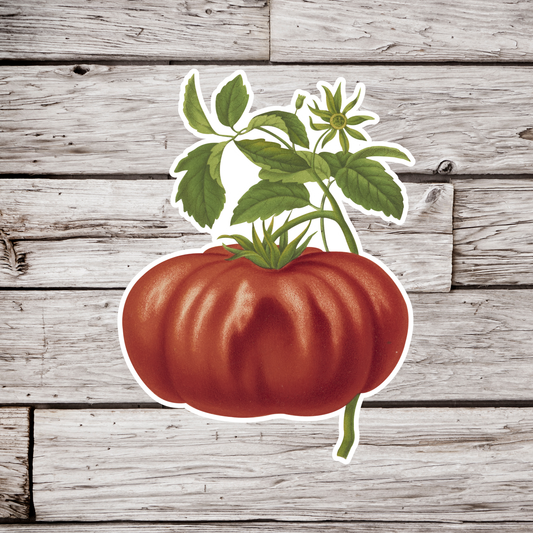 Tomato Sticker