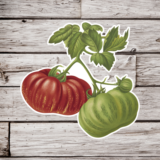 Tomato Sticker