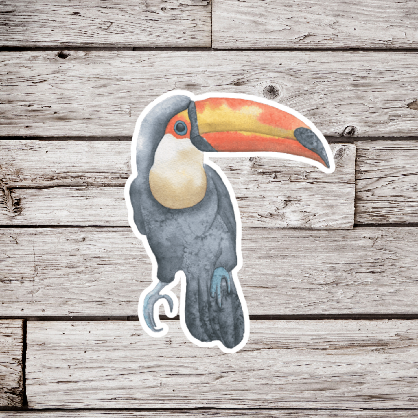 Toucan Sticker