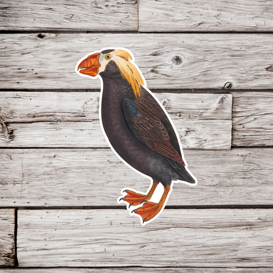 Tufted Puffin Sticker