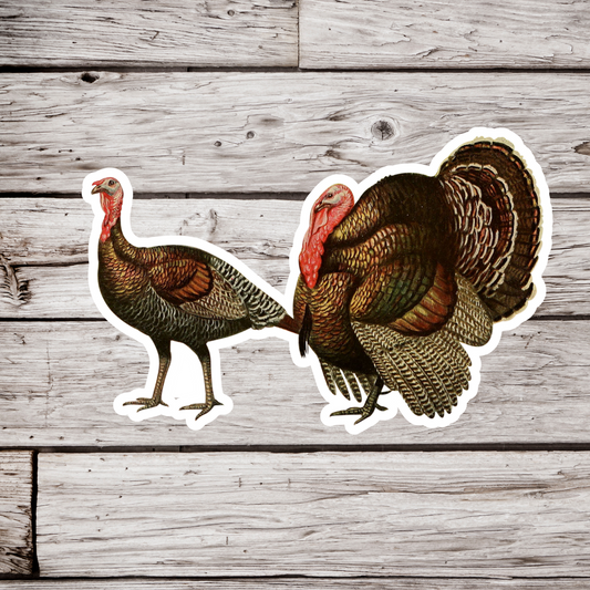 Turkey Sticker