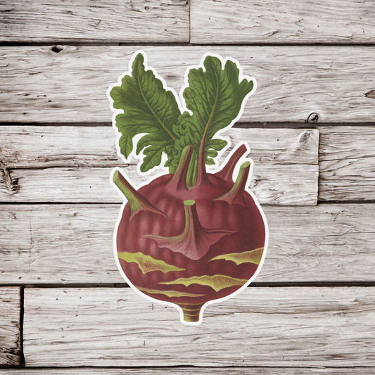 Turnip Sticker