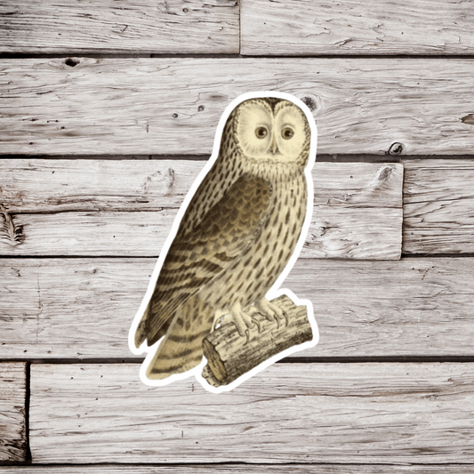 Ural Owl Sticker or Magnet