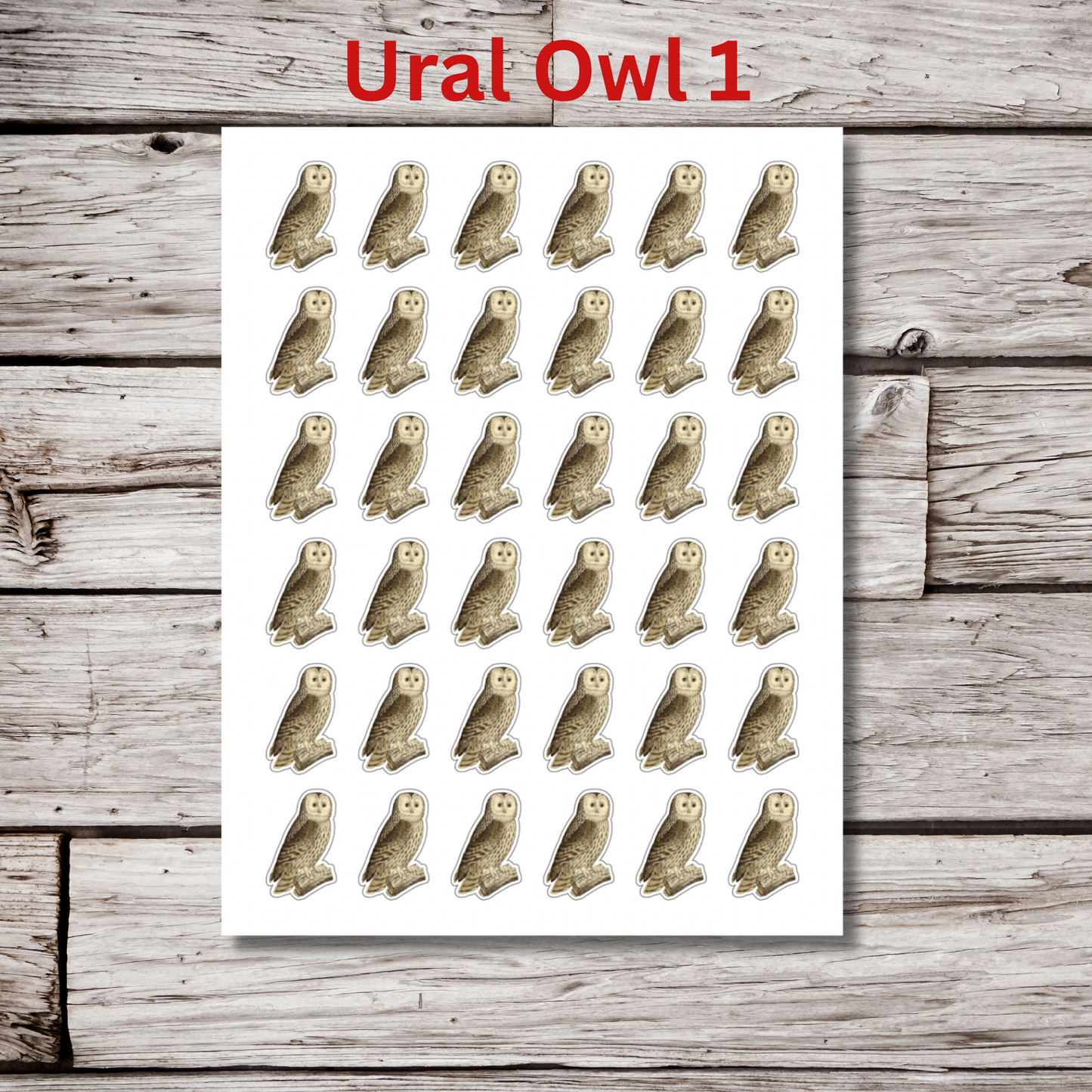 Owl Sticker Sheet