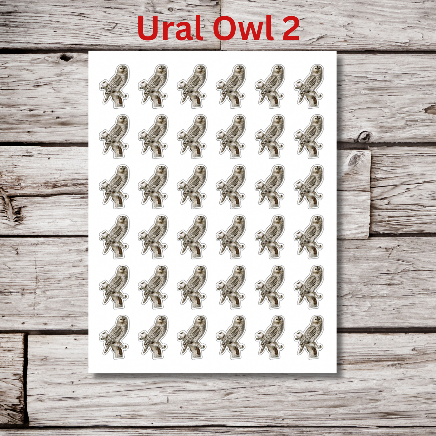 Owl Sticker Sheet