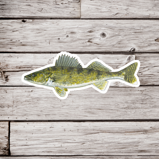 Walleye Sticker or Magnet