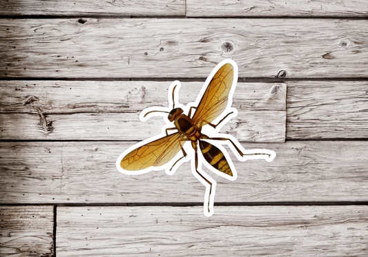 Wasp Sticker or Magnet