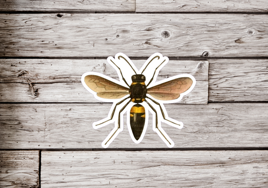 Wasp Sticker