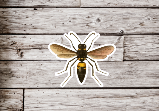 Wasp Sticker or Magnet