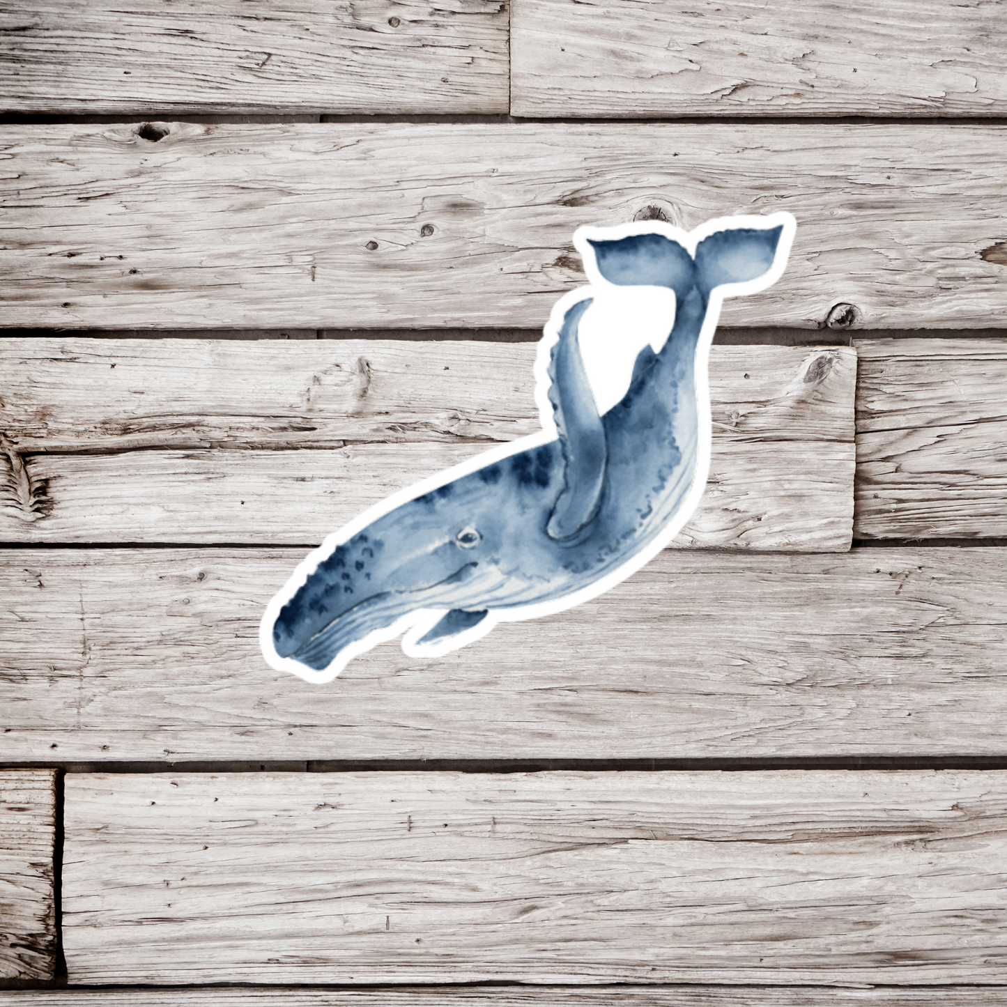 Whale Sticker