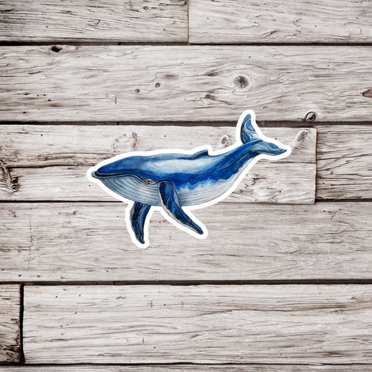 Whale Sticker or Magnet