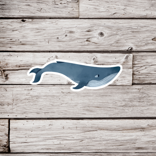 Whale Sticker