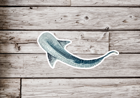 Whale Shark Sticker or Magnet