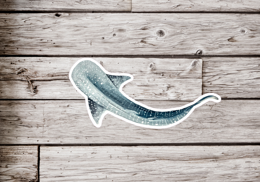 Whale Shark Sticker