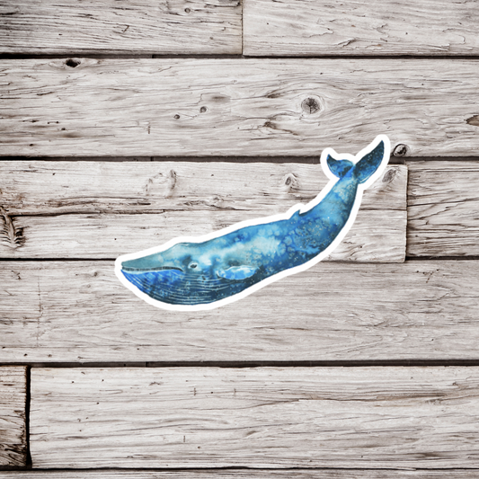 Whale Sticker or Magnet