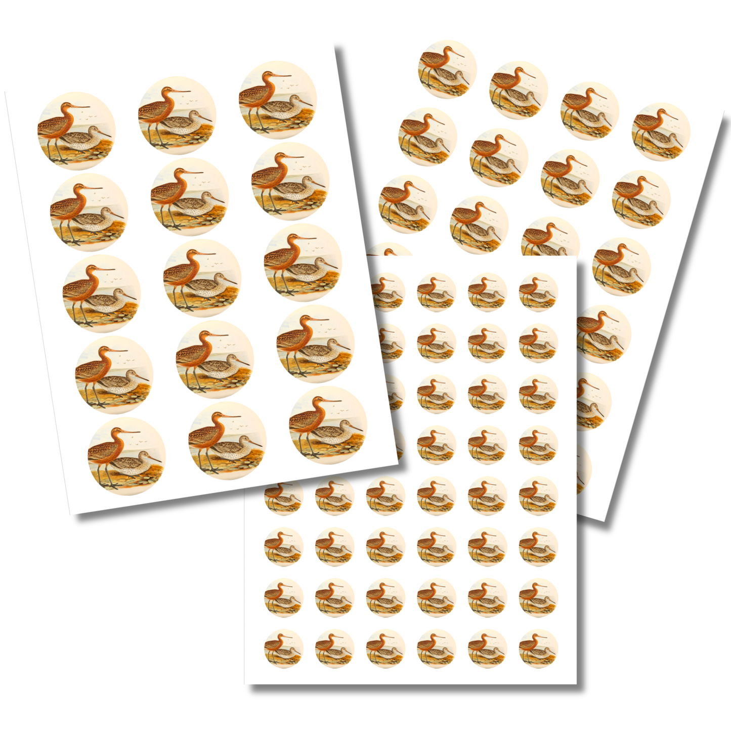 Bar Tailed Godwit Circle Sticker Sheet