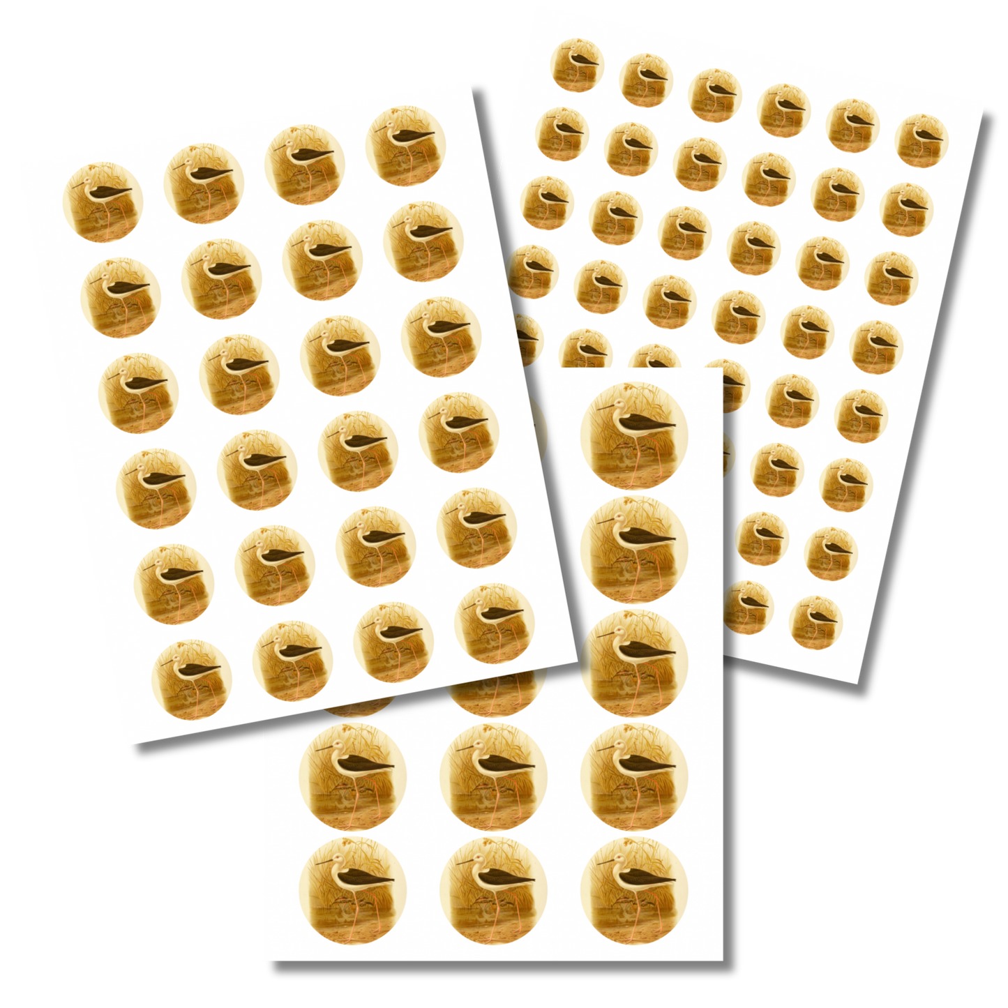 Bird Circle Sticker Sheet