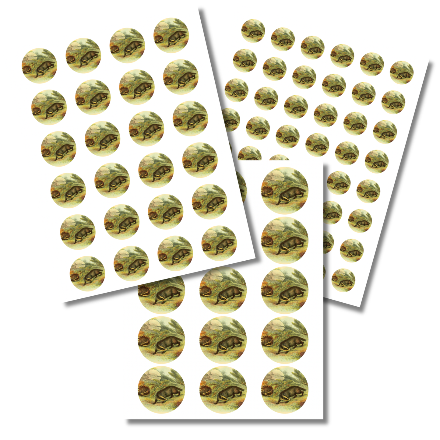 Badger Circle Sticker Sheet