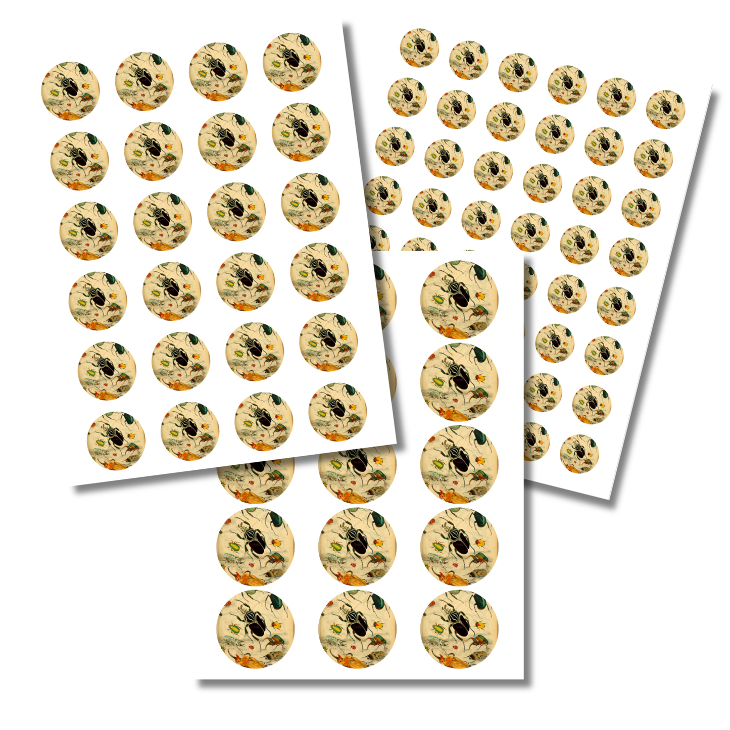 Beetle Circle Sticker Sheet