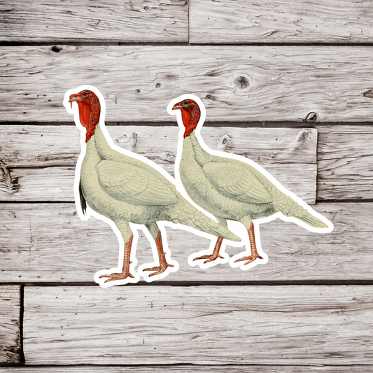 White Turkey Sticker