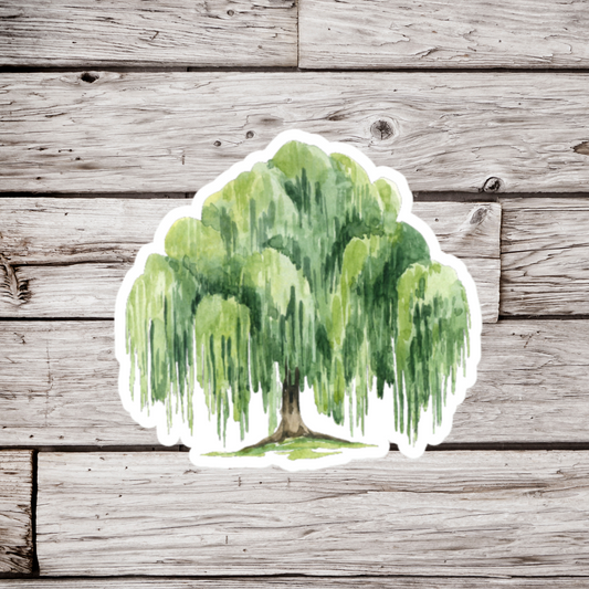 Willow Tree Sticker or Magnet