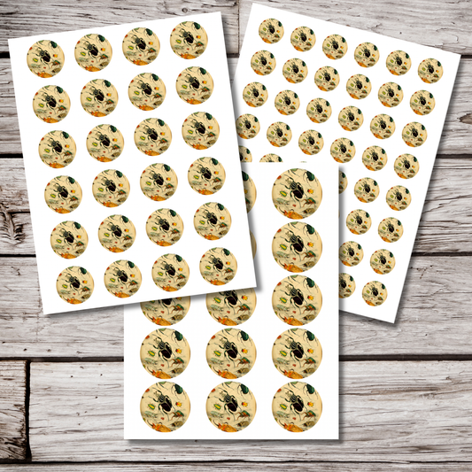 Beetle Circle Sticker Sheet