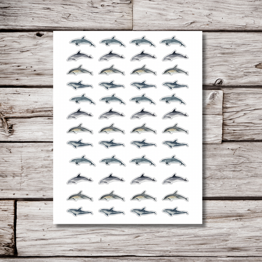 Dolphin Sticker Sheet