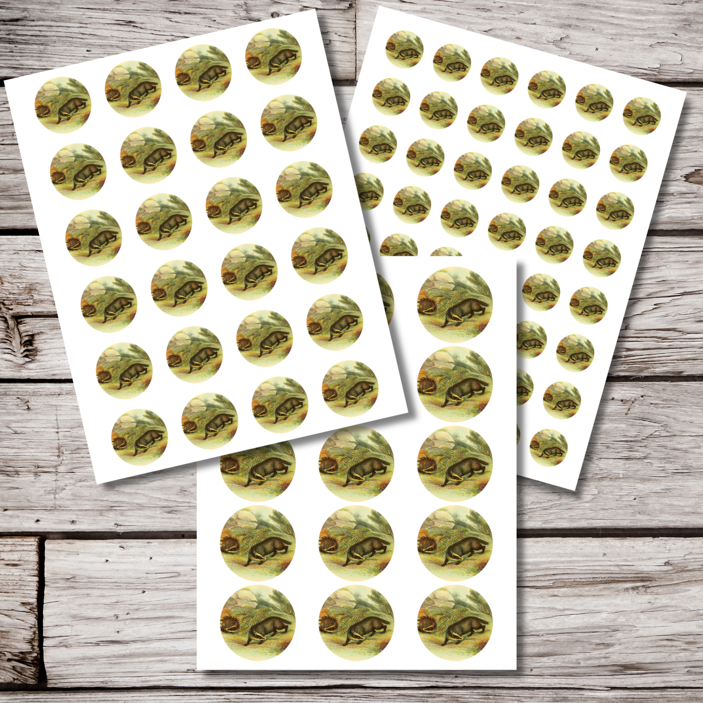 Badger Circle Sticker Sheet