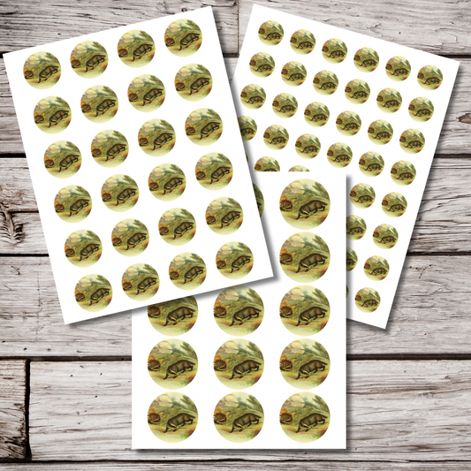 Badger Circle Sticker Sheet