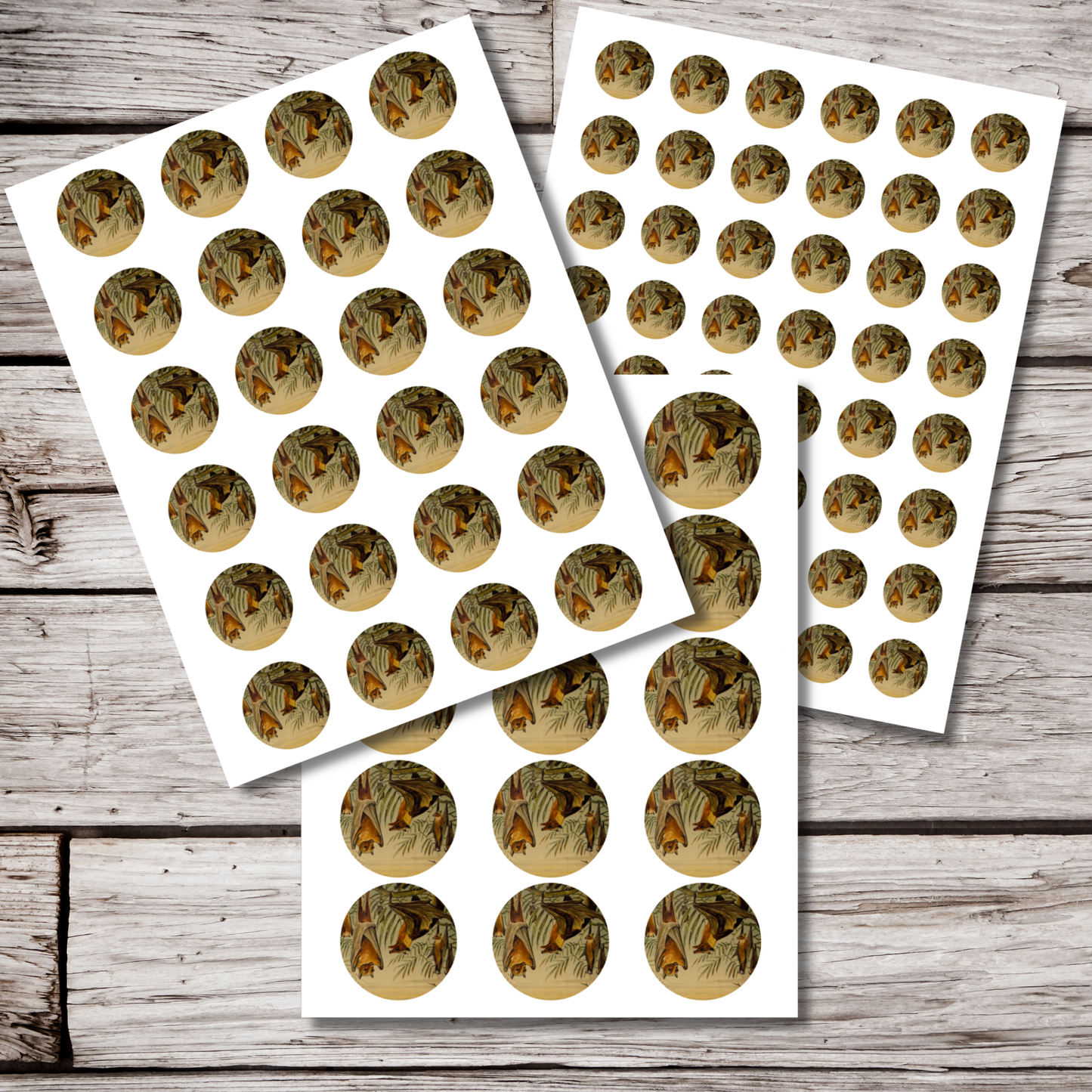 Bat Circle Sticker Sheet