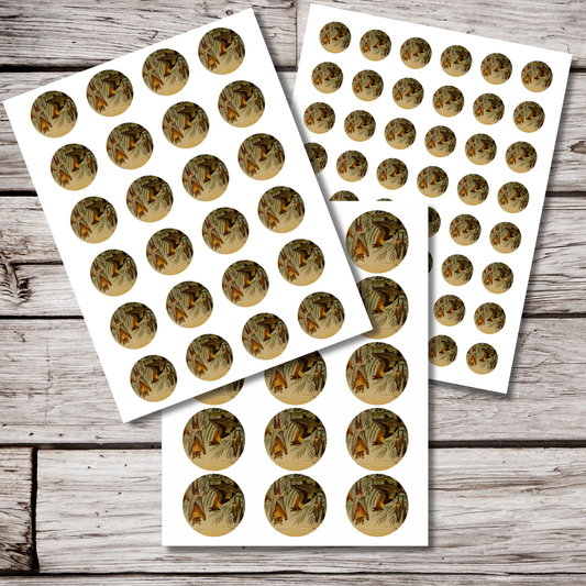 Bat Circle Sticker Sheet