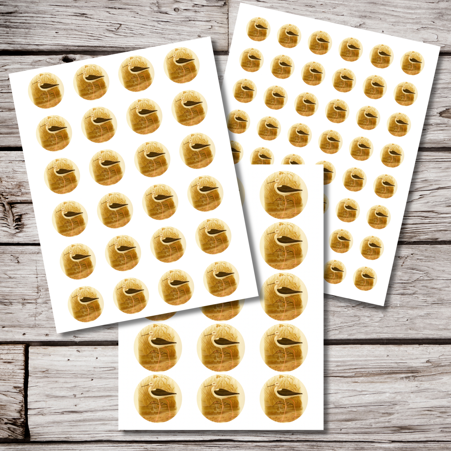 Bird Circle Sticker Sheet