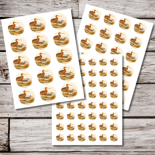 Bar Tailed Godwit Circle Sticker Sheet