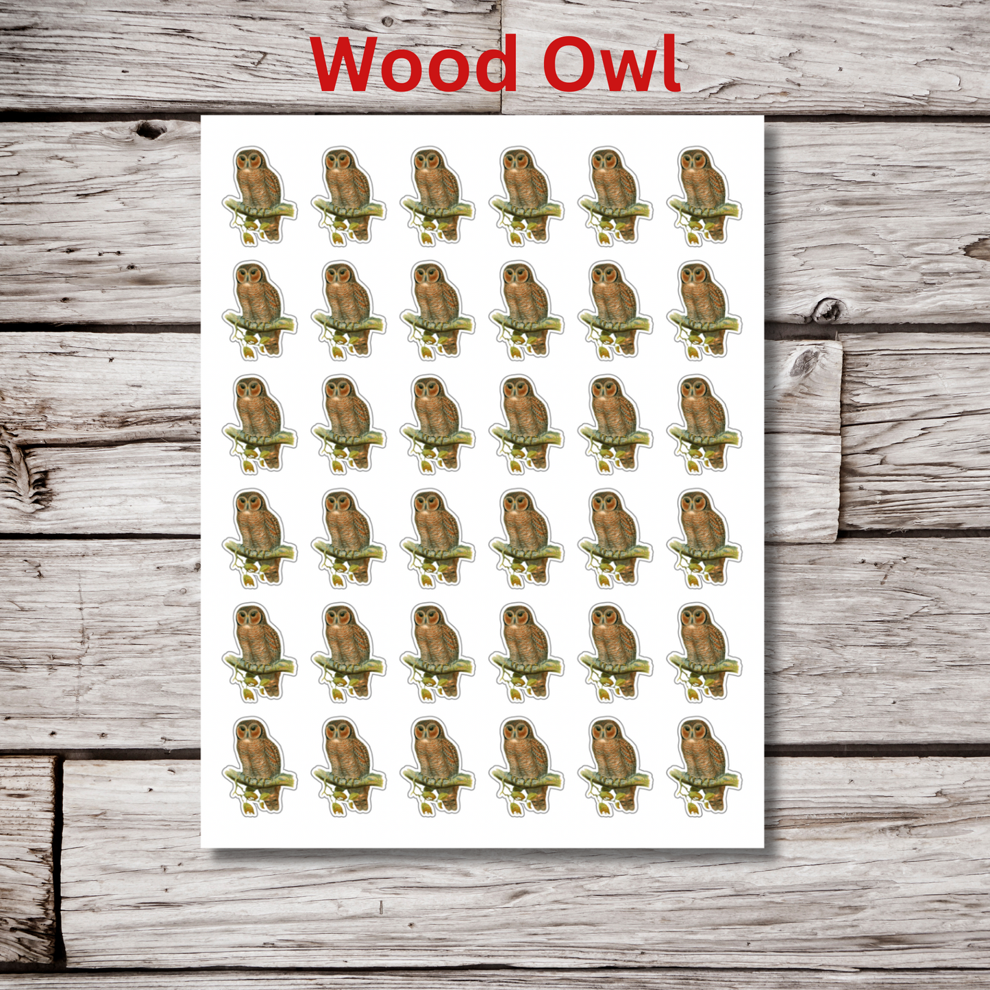 Owl Sticker Sheet