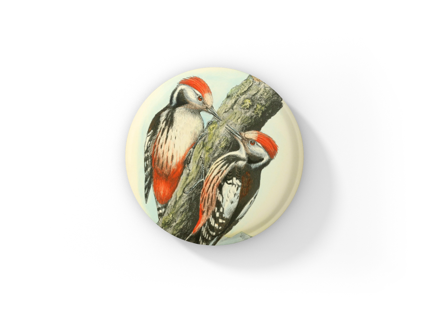 Woodpecker Pin Back Button, Magnet, Keychain