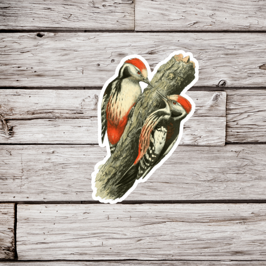 Woodpeckers Sticker or Magnet