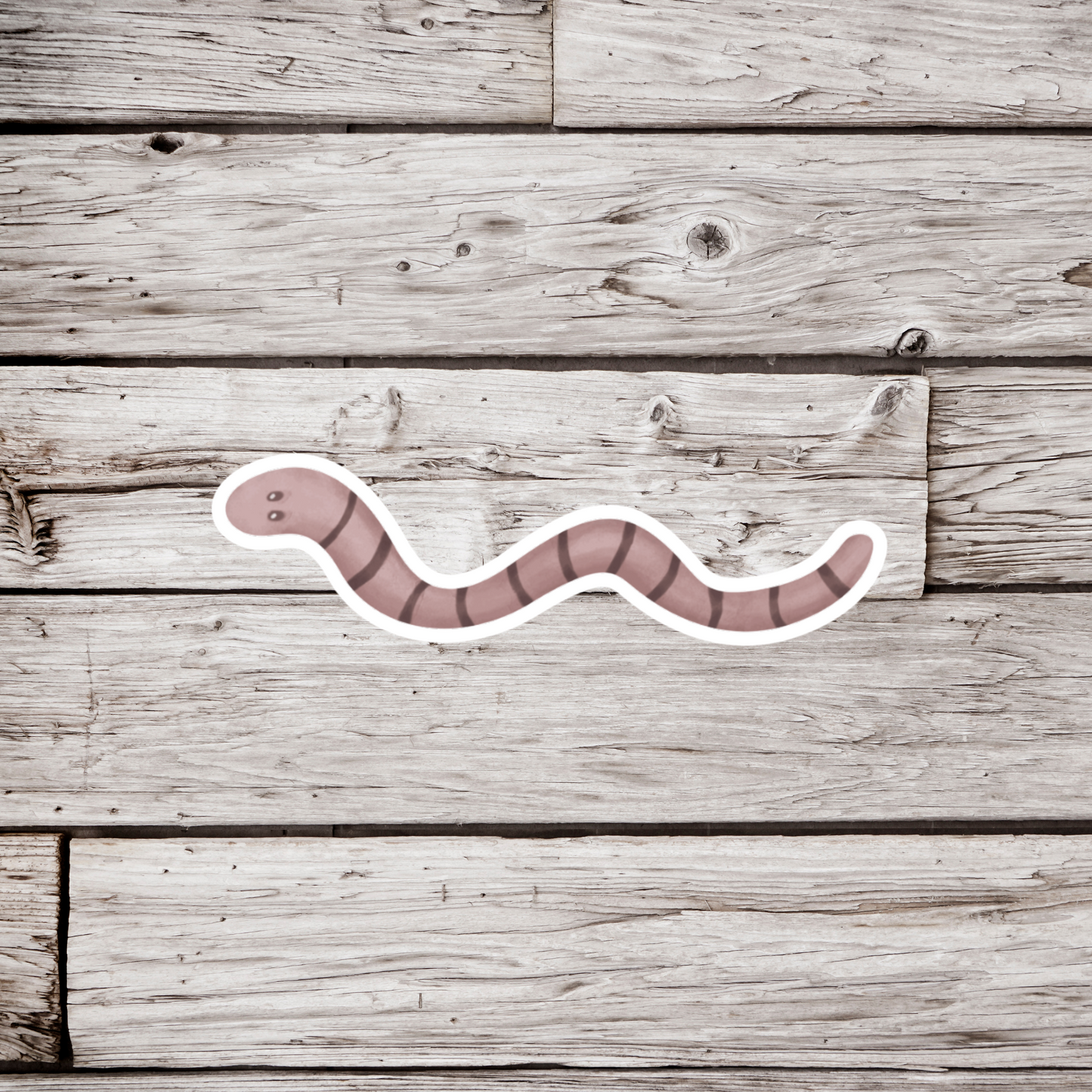 Worm Sticker