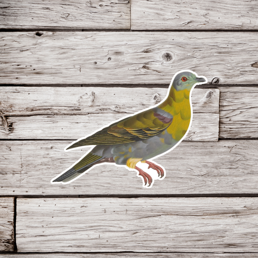 Yellow Footed Green Pigeon Sticker